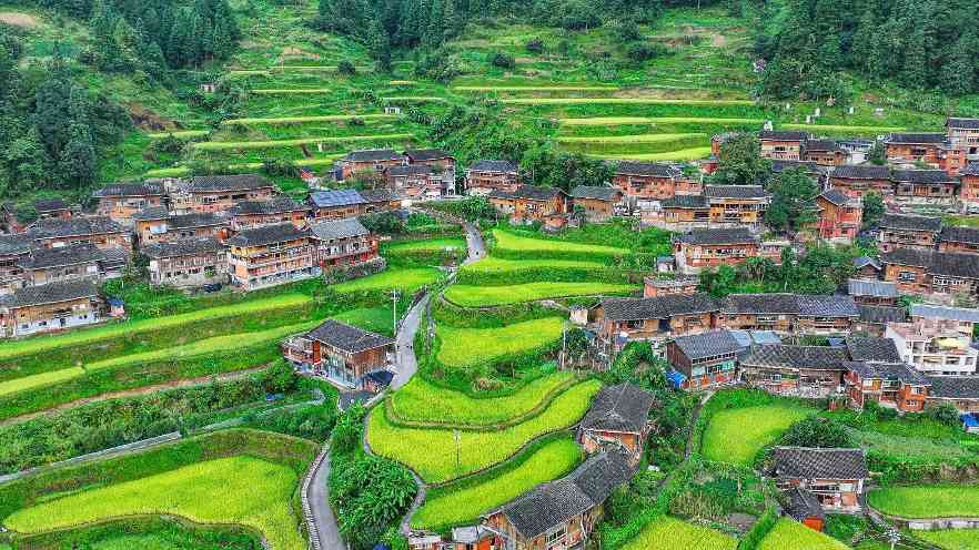 中国三星CSR新三年战略收官 展示多项在华社责成 - 幕帆 AI 科技