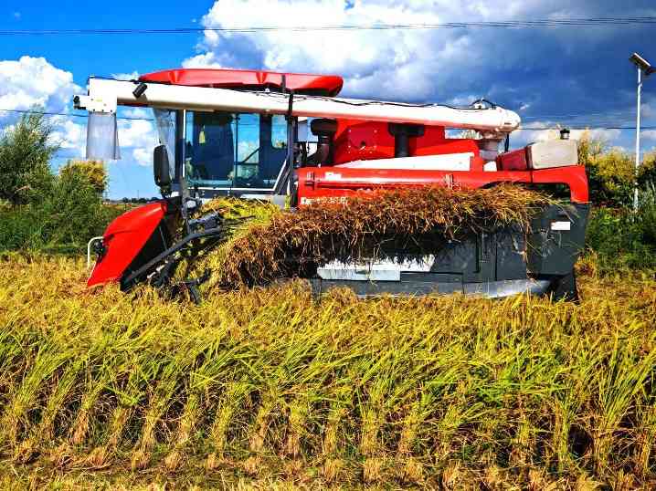 中国三星CSR新三年战略收官 展示多项在华社责成(图3) 中国三星CSR新三年战略收官 展示多项在华社责成(图3)