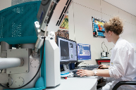 TTS泰得思N15系列离型膜：医用级洁净屏障，解决个护产品离型挑战(图3)