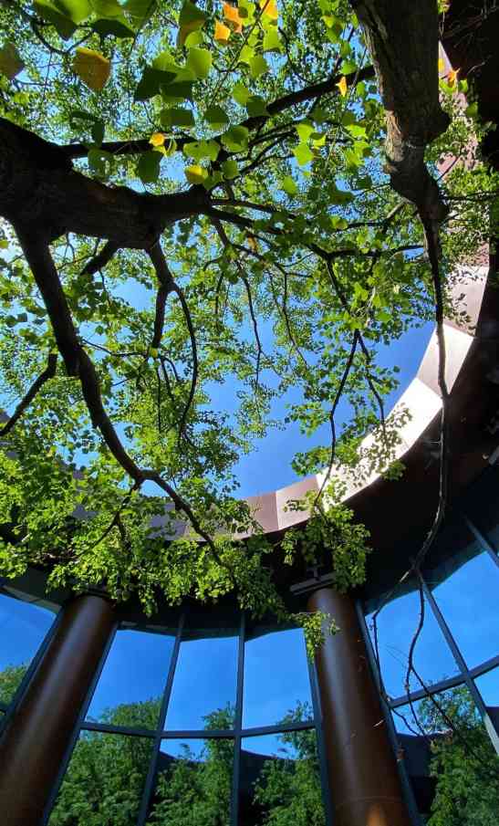 国风民宿，泊心云舍的中式美学(图4)