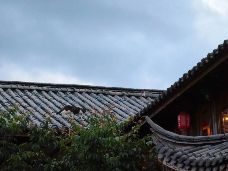 国风民宿，泊心云舍的中式美学(图8)