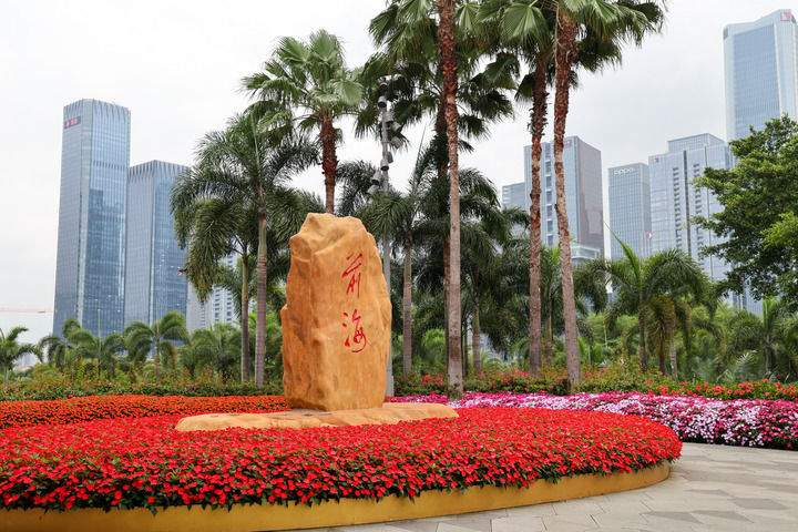 勇立潮头再出发——写在深圳经济特区建立45周年之际(图7) 勇立潮头再出发——写在深圳经济特区建立45周年之际(图7)