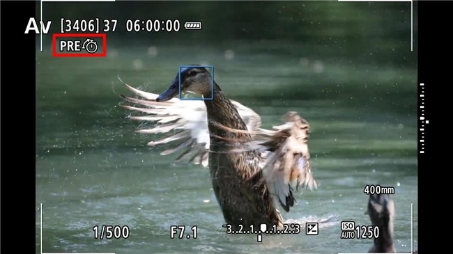 更顺手 更可靠 佳能EOS R1 Ver1.1.2固件体验评测(图12)