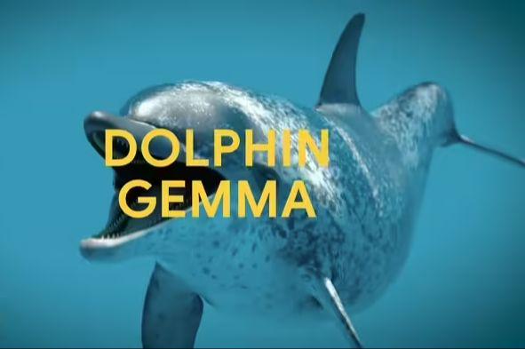 谷歌 DeepMind 开发 DolphinGemma AI模型，助力海豚“语言”研究(图1)