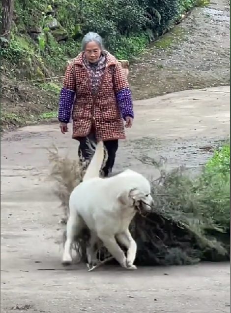 548c0612j00suae1m00f9d000d200hnm 定格动画视频怎么做?一分钟教会你定格动画是怎么做的(图3)