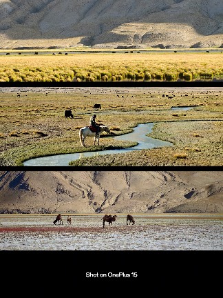 一加 15 搭载超光影三摄及「LUMO 凝光影像」，打造旗舰级影像表现(图3)