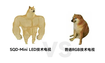 X11L携SQD-Mini LED技术王者登场！画质这方面，真没人搞得过TCL……(图5)