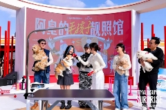 天猫双11超级发布：一场好玩又好逛的品牌盛宴(图4)