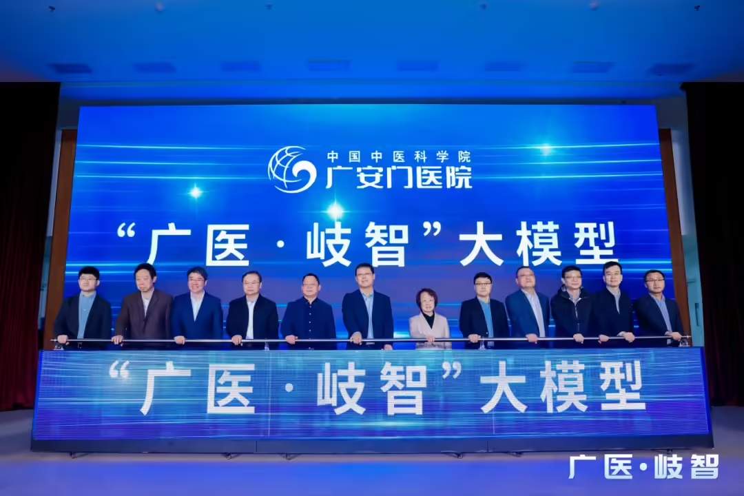 国内首部中医药 AI大模型评测标准发布，覆盖 13 个能力子域(图1)