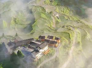 一家外企的向善力量(图1)