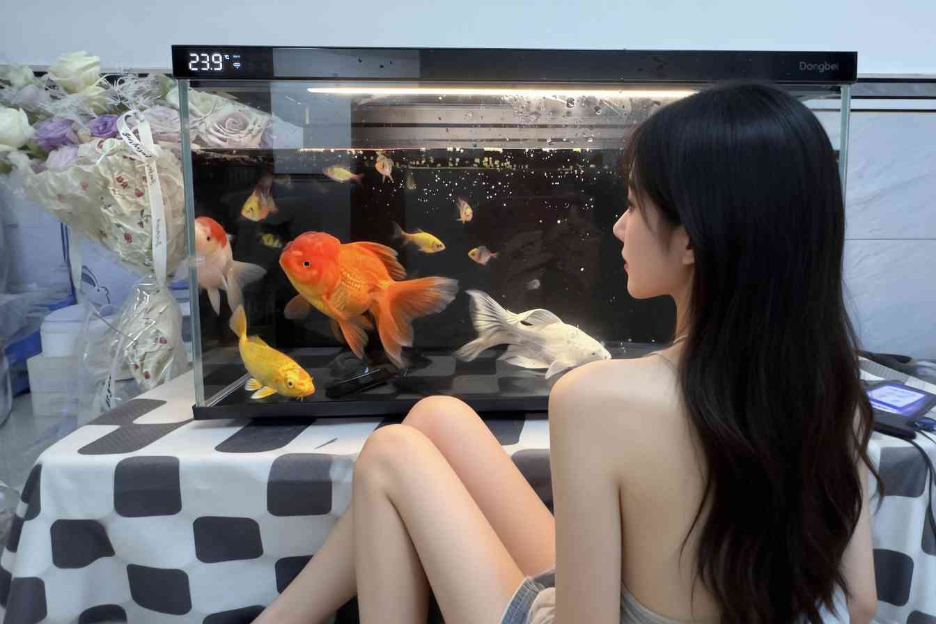 2026智能鱼缸哪款功能全又实用？当贝双监测+预警，异常即时提(图1)