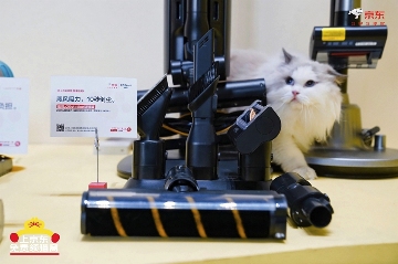 京东生活小家电启动“公益猫窝”计划 全国投放10000个温暖猫窝(图7)