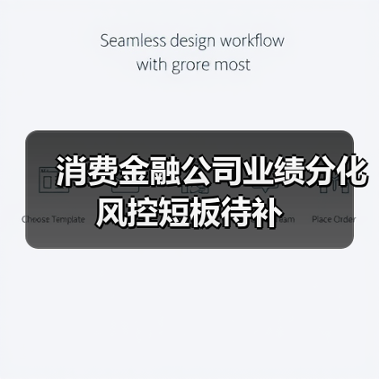 消费金融公司业绩分化风控短板待补(图4) 消费金融公司业绩分化风控短板待补(图3)