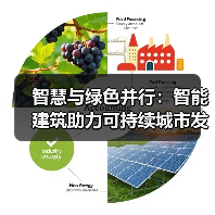 智慧与绿色并行：智能建筑助力可持续城市发展  (图4)
