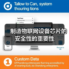 制造物联网设备芯片的安全性的重要性(图3) 制造物联网设备芯片的安全性的重要性(图3)