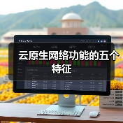 云原生网络功能的五个特征(图3) 云原生网络功能的五个特征(图3)