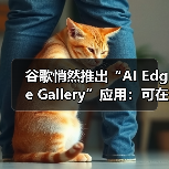 谷歌悄然推出“AI Edge Gallery”应用:可在手机本地运行 AI模型(图2) 谷歌悄然推出“AI Edge Gallery”应用:可在手机本地运行 AI模型(图2)