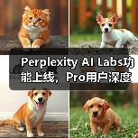 Perplexity AI Labs功能上线,Pro用户深度搜索与代码图像生成(图4) Perplexity AI Labs功能上线,Pro用户深度搜索与代码图像生成(图4)