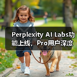 Perplexity AI Labs功能上线,Pro用户深度搜索与代码图像生成(图2) Perplexity AI Labs功能上线,Pro用户深度搜索与代码图像生成(图2)