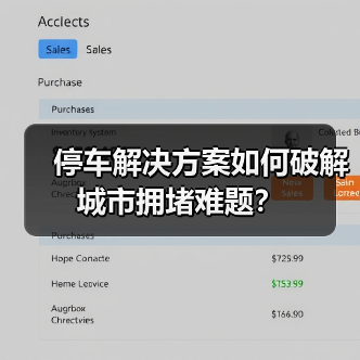 停车解决方案如何破解城市拥堵难题？(图4)