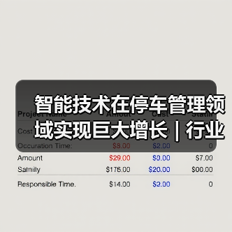 智能技术在停车管理领域实现巨大增长 | 行业观察(图4) 智能技术在停车管理领域实现巨大增长 | 行业观察(图4)