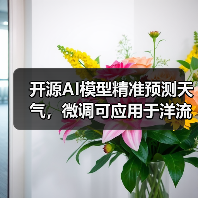 开源AI模型精准预测天气,微调可应用于洋流与空气质量监测(图1) 开源AI模型精准预测天气,微调可应用于洋流与空气质量监测(图1)
