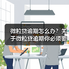 微粒贷逾期怎么办？关于微粒贷逾期你必须要了解的几件事(图4)