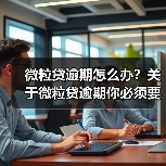 微粒贷逾期怎么办？关于微粒贷逾期你必须要了解的几件事(图2)