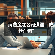 消费金融公司遭遇“成长烦恼”(图1) 消费金融公司遭遇“成长烦恼”(图1)