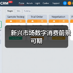 新兴市场数字消费前景可期(图3) 新兴市场数字消费前景可期(图3)