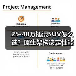 25-40万插混SUV怎么选？原生架构决定性能体验(图4)