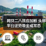 网贷二八效应加剧 头部平台逆势吸金成常态(图2) 网贷二八效应加剧 头部平台逆势吸金成常态(图2)
