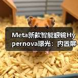 Meta新款智能眼镜Hypernova曝光:内置屏幕+神经腕带,年底发布?(图2) Meta新款智能眼镜Hypernova曝光:内置屏幕+神经腕带,年底发布?(图2)