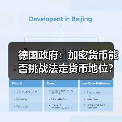 德国政府:加密货币能否挑战法定货币地位?(图2) 德国政府:加密货币能否挑战法定货币地位?(图2)