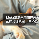 Meta澄清未用用户未发布照片训练AI,用户隐私如何保障?(图4) Meta澄清未用用户未发布照片训练AI,用户隐私如何保障?(图4)