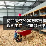 荷兰斥资7000万欧元建设AI工厂，打造欧洲技术新枢纽(图3)