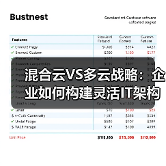 混合云VS多云战略：企业如何构建灵活IT架构？ - 辰飞雨幕帆 AI 科技