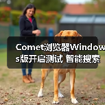 Comet浏览器Windows版开启测试 智能搜索挑战Chrome？(图3)