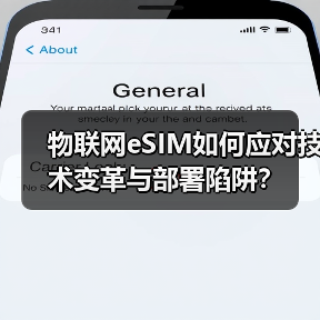 物联网eSIM如何应对技术变革与部署陷阱?(图2) 物联网eSIM如何应对技术变革与部署陷阱?(图2)
