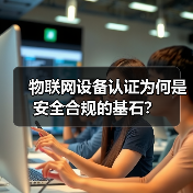 物联网设备认证为何是安全合规的基石?(图4) 物联网设备认证为何是安全合规的基石?(图4)