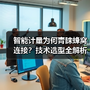 智能计量为何青睐蜂窝连接?技术选型全解析(图2) 智能计量为何青睐蜂窝连接?技术选型全解析(图2)