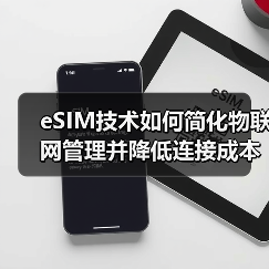 eSIM技术如何简化物联网管理并降低连接成本?(图4) eSIM技术如何简化物联网管理并降低连接成本?(图4)