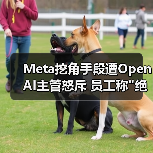 Meta挖角手段遭OpenAI主管怒斥 员工称 Meta挖角手段遭OpenAI主管怒斥 员工称绝望味道(图3)