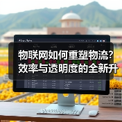 物联网如何重塑物流?效率与透明度的全新升级(图3) 物联网如何重塑物流?效率与透明度的全新升级(图3)