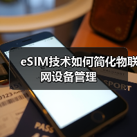 eSIM技术如何简化物联网设备管理(图3)