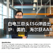 白电三巨头ESG评级出炉：美的、海尔获AAApi级，格力获AApi级 - 辰飞雨幕帆 AI 科技