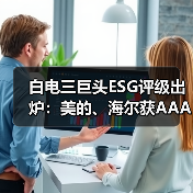 白电三巨头ESG评级出炉:美的、海尔获AAApi级,格力获AApi级(图4) 白电三巨头ESG评级出炉:美的、海尔获AAApi级,格力获AApi级(图4)