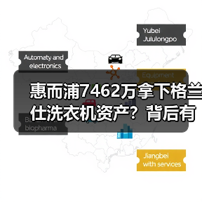 惠而浦7462万拿下格兰仕洗衣机资产?背后有何意图?(图3) 惠而浦7462万拿下格兰仕洗衣机资产?背后有何意图?(图3)