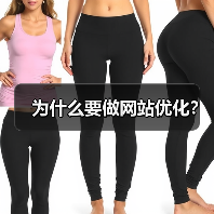 为什么要做网站优化?(图2) 为什么要做网站优化?(图2)