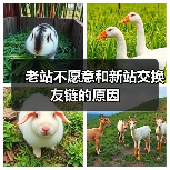 老站不愿意和新站交换友链的原因(图2) 老站不愿意和新站交换友链的原因(图2)